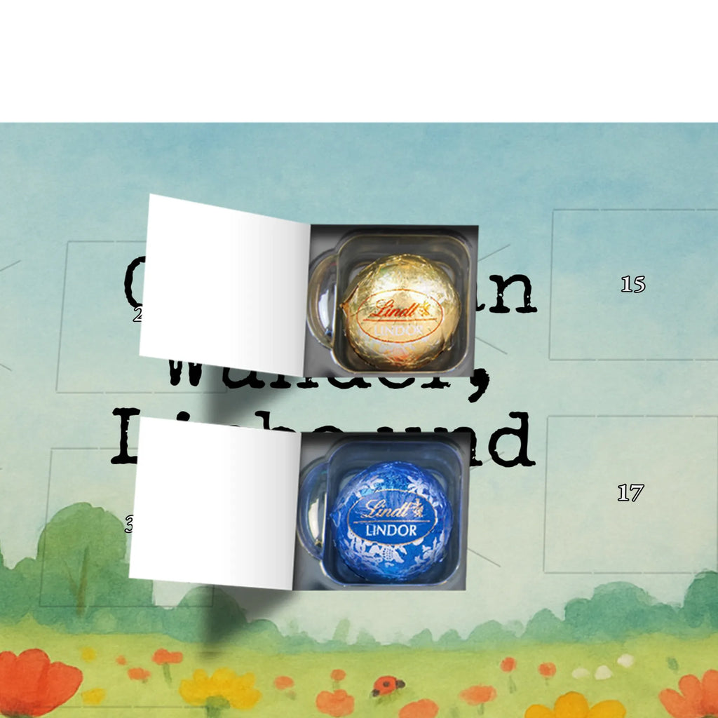 Chocolate advent calendar Penguin ladybug Design North Pole, Penguins, joy of life, ladybird, joy, wonder, penguins