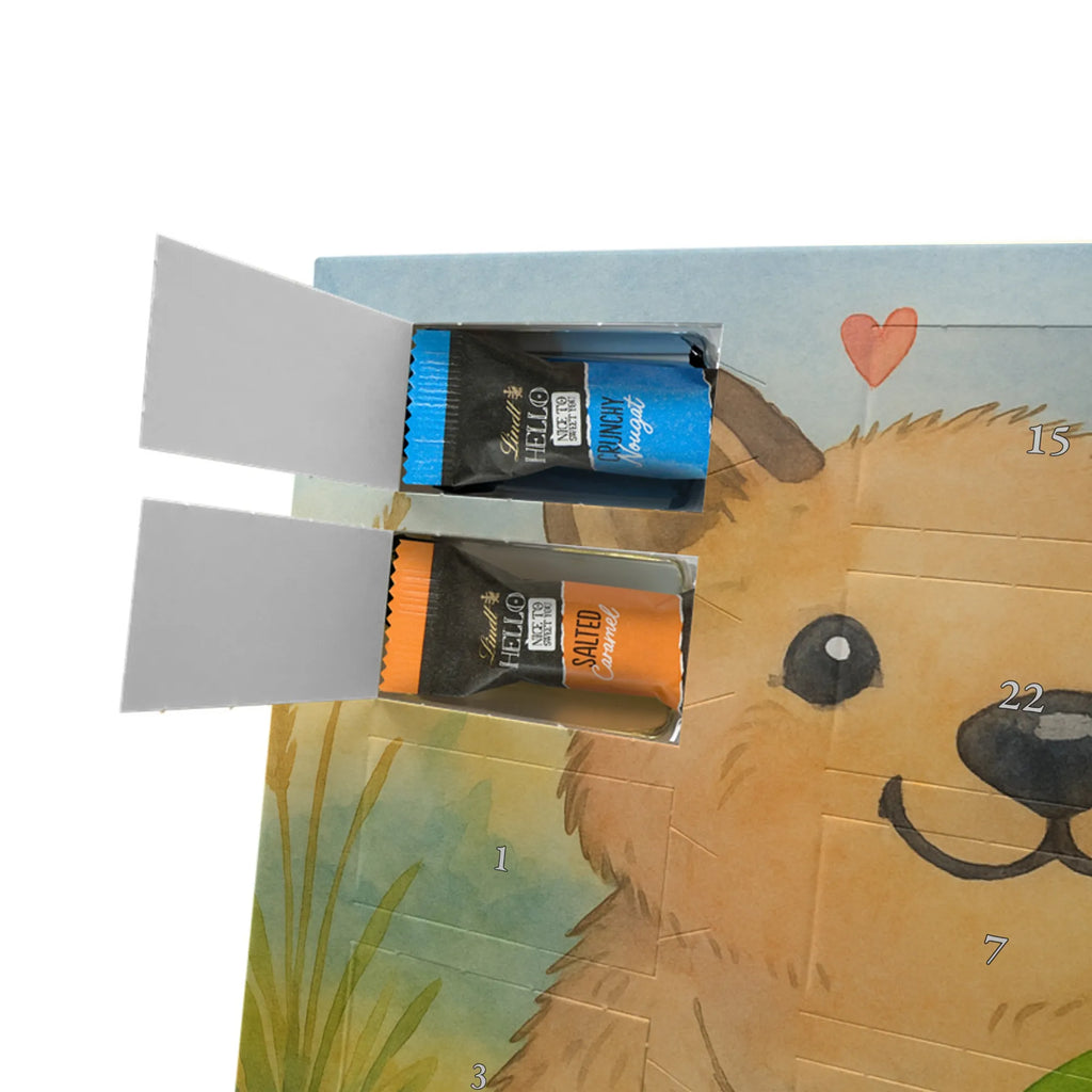 Chocolate advent calendar Quokka Happy Design card, gift ideas, gifts, small animals, cute, cute animal motives, hand drawn, funny sayings, good mood, special gifts, animal lover