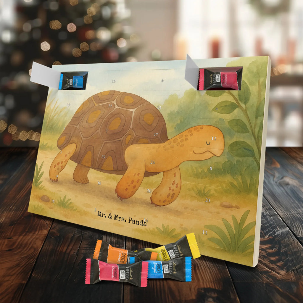 Adventskalender Schildkröte Marschieren Design adventskalender süßigkeiten, süßigkeiten kalender, schokolade adventskalender, kalender schokolade, Schoko Adventskalender, weihnachtskalender schoko, Weihnachtskalender, Schoko-Adventskalender, adventskalender schoko, Weihnachtskalender Schokolade, schokokalender, Schokoladen-Adventskalender, Schokoladen Adventskalender, schoko kalender, Schokoladen-Weihnachtskalender, kalender weihnachten, schokoladenkalender, Adventskalender, süßigkeiten adventskalender, Adventskalender Schokolade, Weihnachten Adventskalender, Weihnachts Kalender, pralinen adventskalender, schoko weihnachtskalender, adventskalender pralinen, schokoladen kalender, Meer, Urlaub, Meerestiere, Reiselust, Abenteuer, Neustart, Schildkröte, Schildkröten, Lieblingsmensch, Inspiration, Motivation, Get Lost