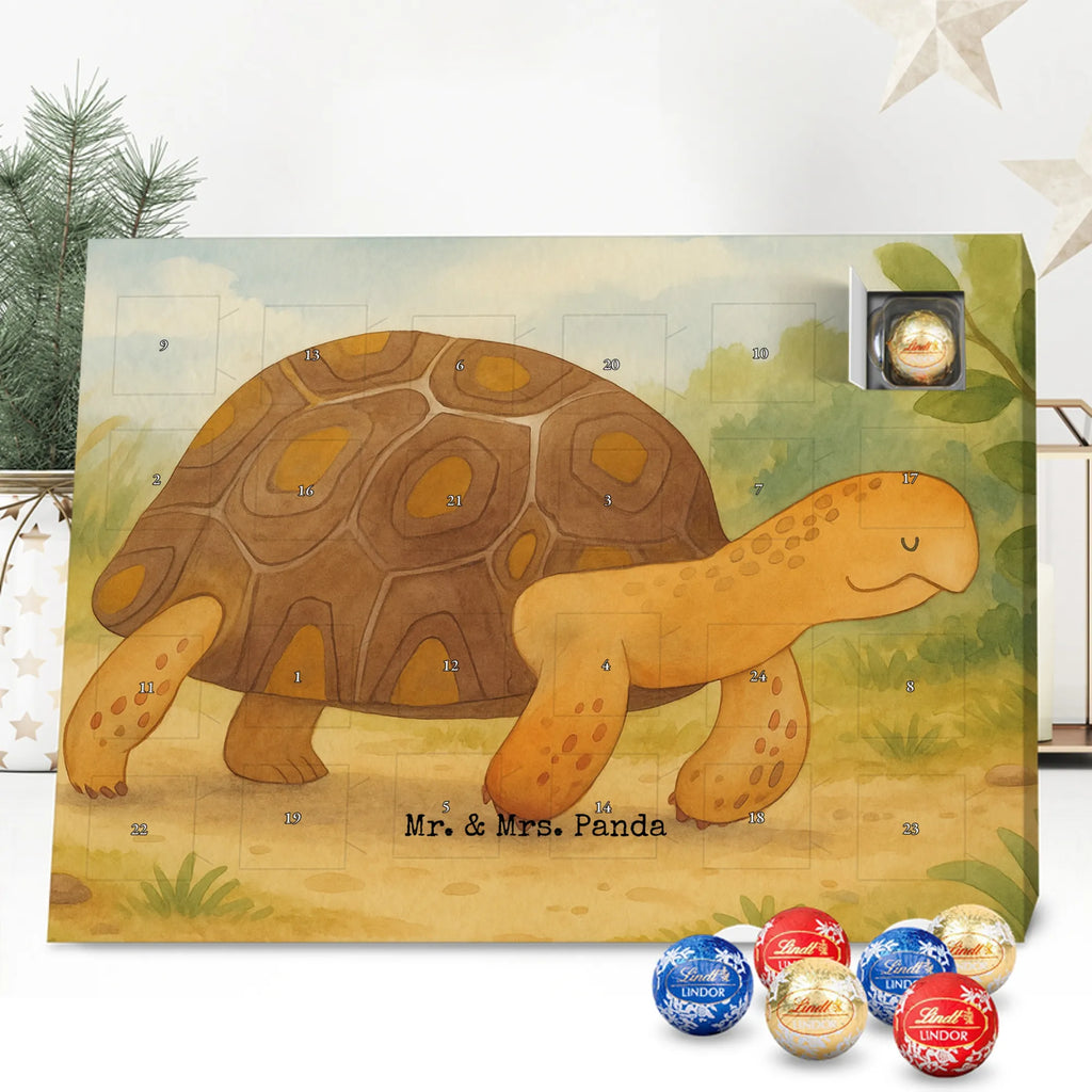 Adventskalender Schildkröte Marschieren Design adventskalender süßigkeiten, süßigkeiten kalender, schokolade adventskalender, kalender schokolade, Schoko Adventskalender, weihnachtskalender schoko, Weihnachtskalender, Schoko-Adventskalender, adventskalender schoko, Weihnachtskalender Schokolade, schokokalender, Schokoladen-Adventskalender, Schokoladen Adventskalender, schoko kalender, Schokoladen-Weihnachtskalender, kalender weihnachten, schokoladenkalender, Adventskalender, süßigkeiten adventskalender, Adventskalender Schokolade, Weihnachten Adventskalender, Weihnachts Kalender, pralinen adventskalender, schoko weihnachtskalender, adventskalender pralinen, schokoladen kalender, Meer, Urlaub, Meerestiere, Reiselust, Abenteuer, Neustart, Schildkröte, Schildkröten, Lieblingsmensch, Inspiration, Motivation, Get Lost