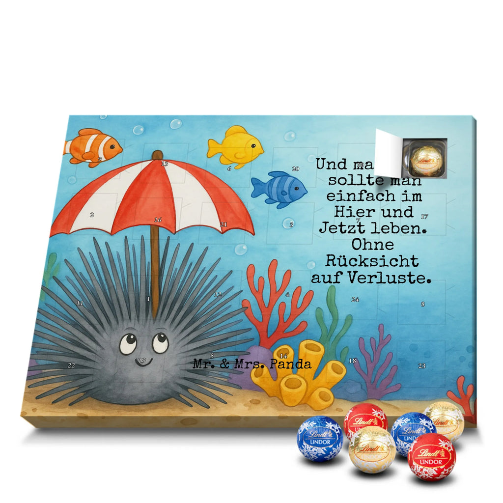Chocolate advent calendar Sea urchins Design gift ideas, vacation, Seafood, aquatic animals, ocean, shells, corals, reef, whale, narwhal, sea urchin, lobster, platypus, manatee, crocodile, shrimp, gifts for seafood lovers, water world, underwater animals, underwater world, deep sea, seafood fans, seafood decoration, seafood posters, living, self-acceptance, mindfulness, self-love, here and now, sea urchins