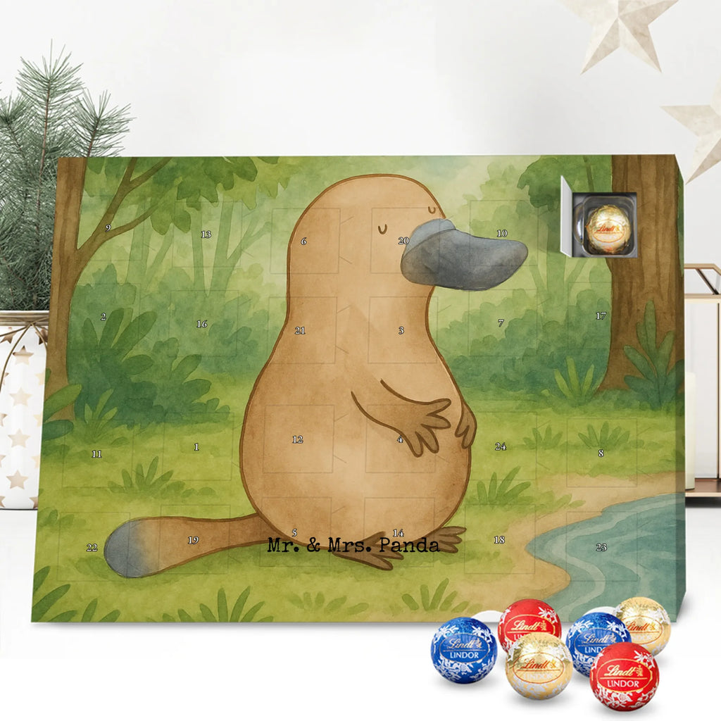 Schoko Adventskalender Schnabeltier Mut Design schokoladen kalender, schokoladenkalender, adventskalender mit süßigkeiten, Schokoladen Adventskalender, süßigkeiten kalender, adventskalender mit schokolade, Adventskalender, Weihnachtskalender Schokolade, schokokalender, pralinen adventskalender, adventskalender süßigkeiten, süßigkeiten adventskalender, schokolade adventskalender, kalender schokolade, Weihnachtskalender, weihnachtskalender schoko, Schoko Adventskalender, adventskalender mit pralinen, Adventskalender Schokolade, schoko kalender, advent kalender, schoko weihnachtskalender, adventskalender pralinen, Meerestiere, Urlaub, Meer, Arbeit, Neustart, Weltreise, Büro, mutig, Schnabeltiere, Lebensweisheit, Training, Motivation, Neuanfang, Raodtrip, Schnabeltier, Mut