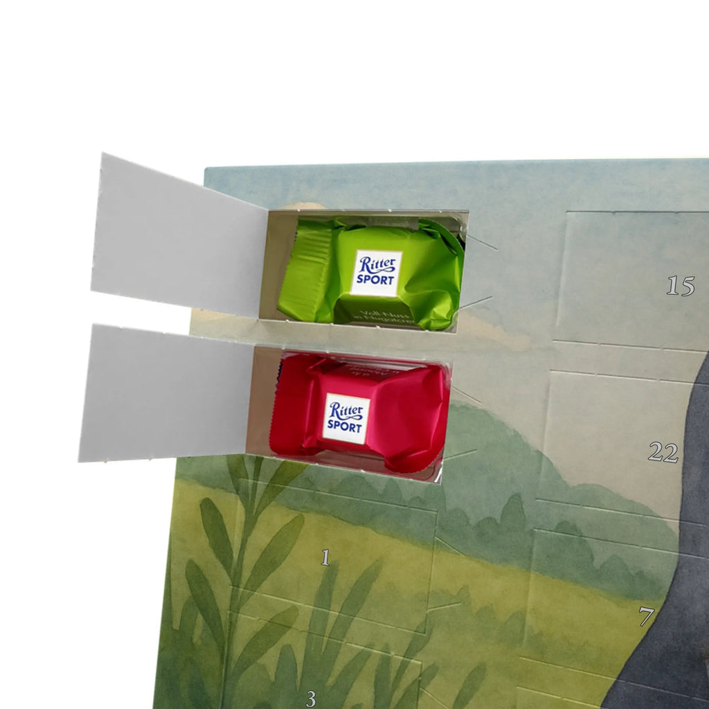 Chocolate advent calendar Penguin lollipop Design North Pole, Penguins, crook, candy, bullshit, hoodlum, lollipop, penguins, rebel