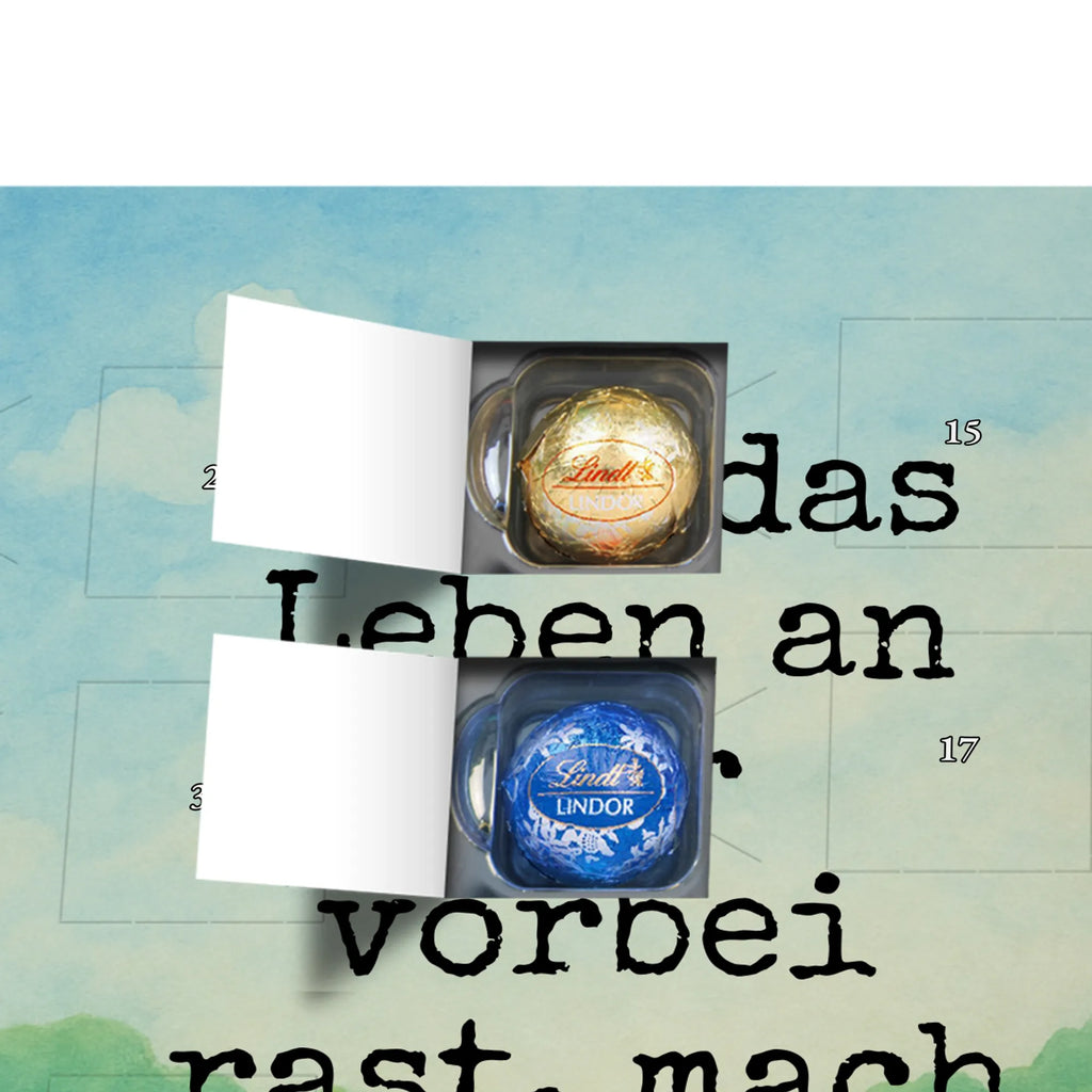 Chocolate advent calendar tortoise Break Design gift, gift ideas, cute, illustrated, tortoise, reptile, ancient creature, sweet, birthday gift, turtle gift items, funny turtle gifts, pet turtles, best friend, sister or daughter, turtle lover, decelerate, mindful