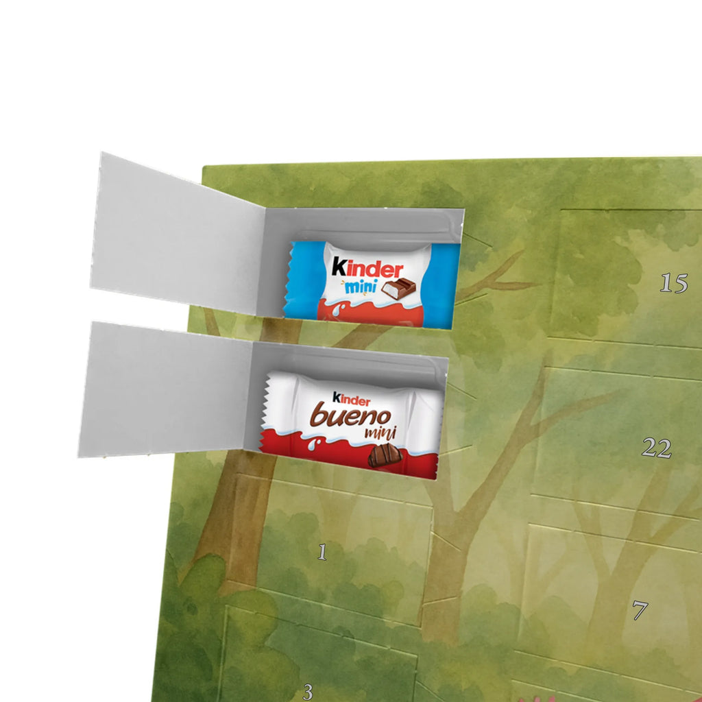 Chocolate advent calendar axolotl Dance Design Axelotl, marine animals, Mexican walking fish, salamander, girlfriend, stars, amphibians, tailfish, roof damage, best friend