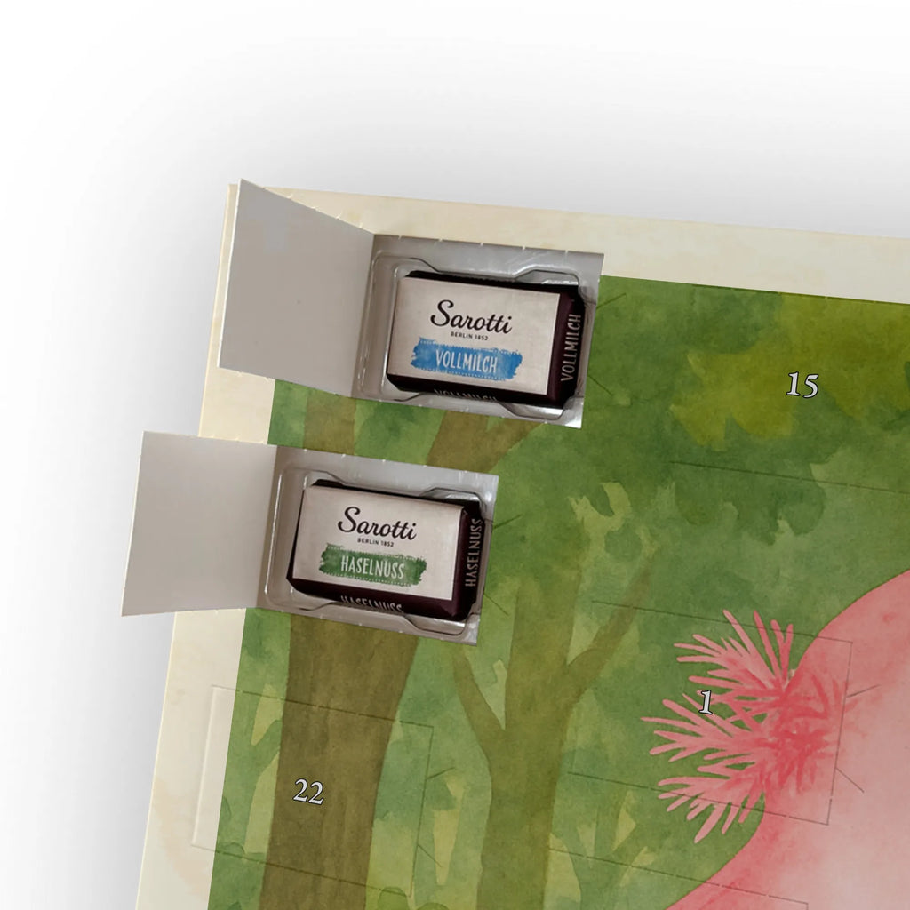 Chocolate advent calendar axolotl Dance Design Axelotl, marine animals, Mexican walking fish, salamander, girlfriend, stars, amphibians, tailfish, roof damage, best friend