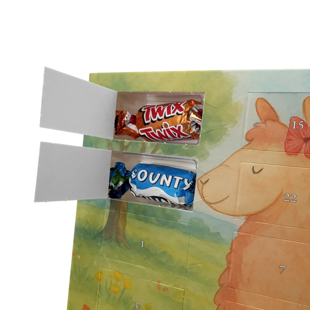 Chocolate advent calendar alpaca Proud Design alpaca, animal, llama, pako, camel, Peru, favourite animal