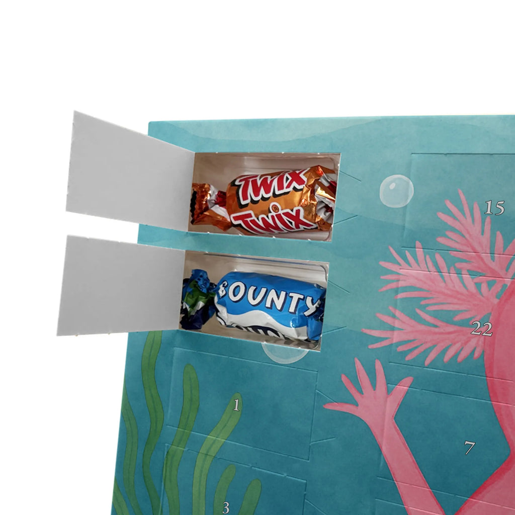 Chocolate advent calendar axolotl Hooray Design Axelotl, marine animals, Mexican walking fish, salamander, fun, joy, cheerful, satisfaction, tail, amphibian