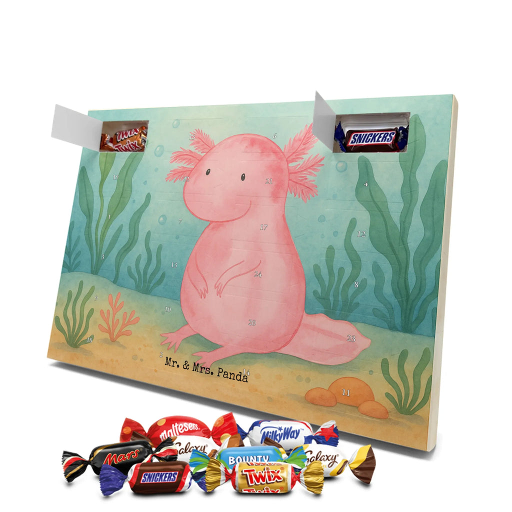 Chocolate advent calendar axolotl zero Design Axelotl, marine animals, Mexican walking fish, salamander, wisdom, worldly wisdom, contented, cheerful, lifestyle, girlfriend