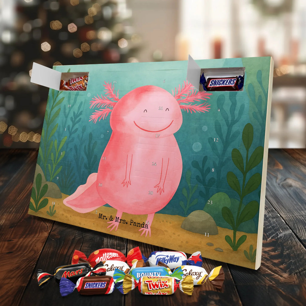 Chocolate advent calendar axolotl Happy Design Axelotl, marine animals, Mexican walking fish, salamander, good mood, tail, amphibian
