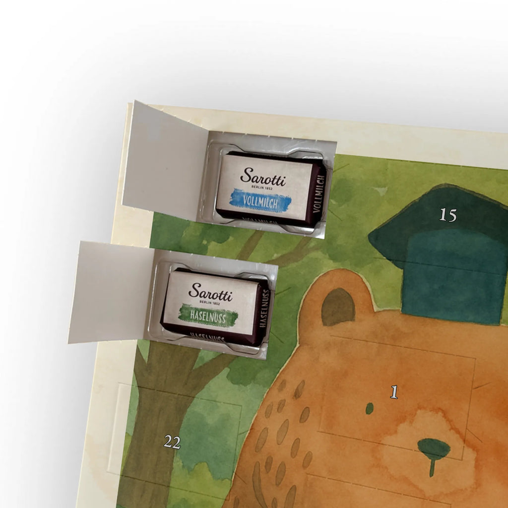 Chocolate advent calendar bear Test Design teddy bear, cuddly toy, diploma, degree, certificate, examinations, examination passed