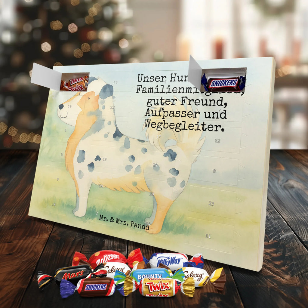 Chocolate advent calendar Dog Australia Shepherd Design hound, dog sayings, gifts for dogs, Christmas gifts for dogs, what do you give a dog lover, funny gifts for dog owners, bag with dog print, dog decorative items, love for dogs, dog breed, love dogs, dog mama, mutt, woof, Family dog, Saying, Sayings, Australia Shepherd, Dog love