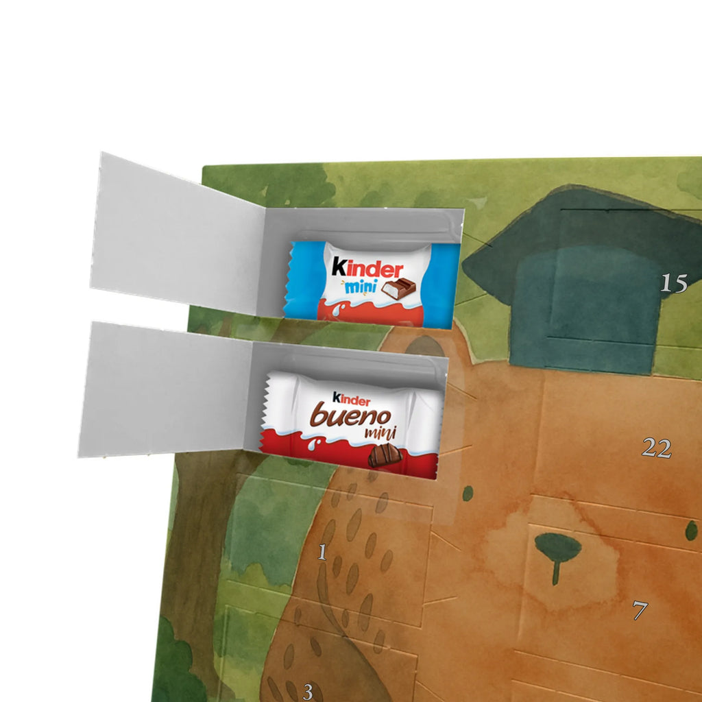 Chocolate advent calendar bear Test Design teddy bear, cuddly toy, diploma, degree, certificate, examinations, examination passed