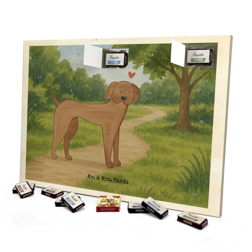 Chocolate advent calendar Dog mastiff Design dog breed, mutt, hound, woof, dog mama, love dogs, love for dogs, dog decorative items, bag with dog print, funny gifts for dog owners, what do you give a dog lover, Christmas gifts for dogs, gifts for dogs, dog sayings, Dogs