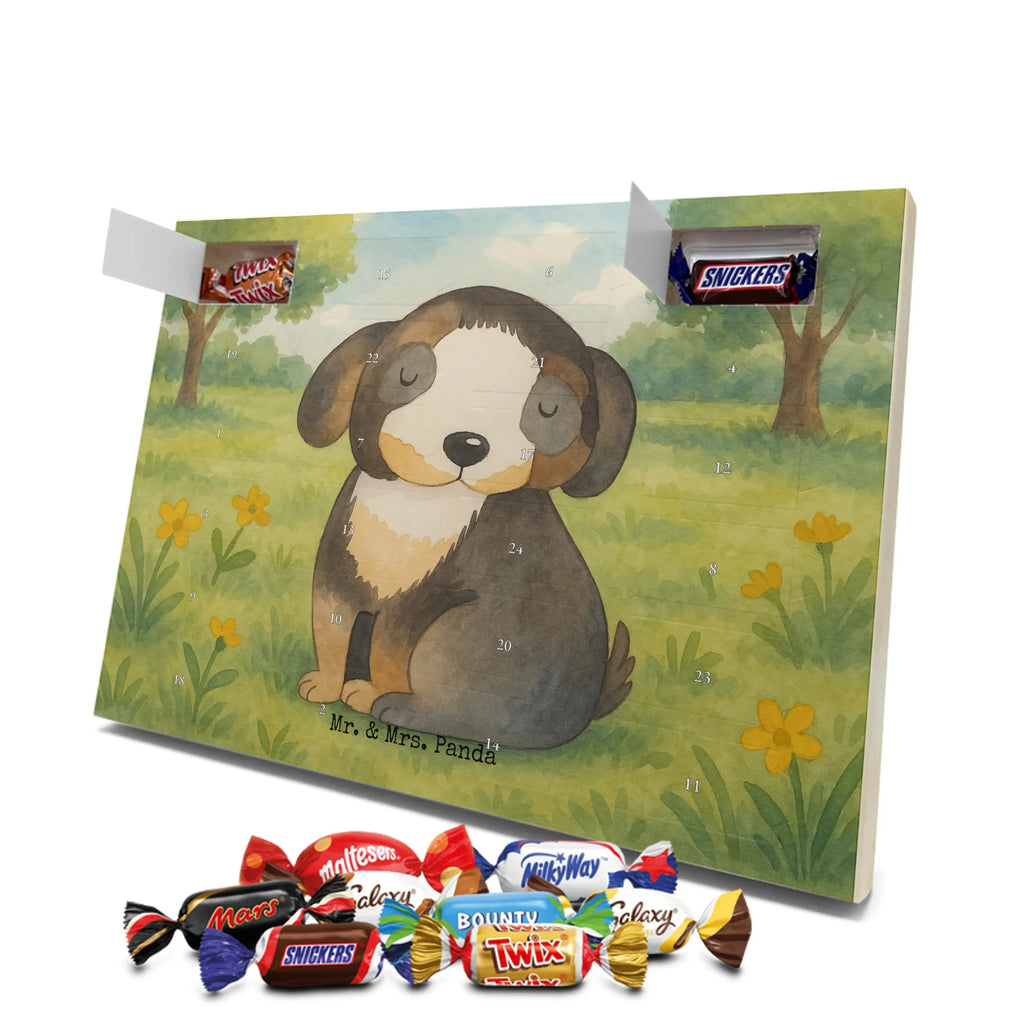 Chocolate advent calendar Dog Relax Design dog breed, mutt, hound, woof, dog mama, love dogs, love for dogs, dog decorative items, bag with dog print, funny gifts for dog owners, what do you give a dog lover, Christmas gifts for dogs, gifts for dogs, dog sayings, dog happiness, dog love, black dog