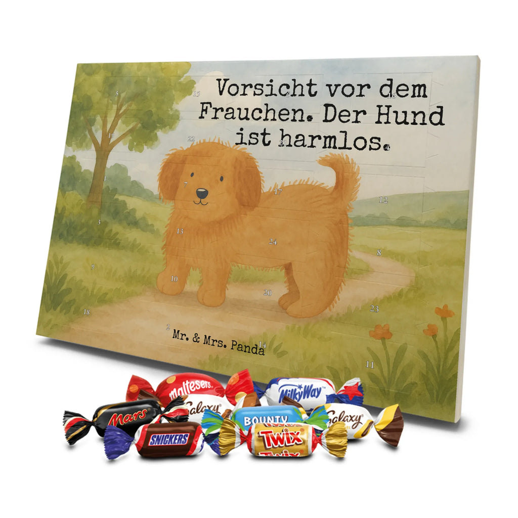  pies puszysty Design Pies, rasa psa, właściciel psa, miłośnik zwierząt, motyw psa, zwierzę domowe, powiedzenia