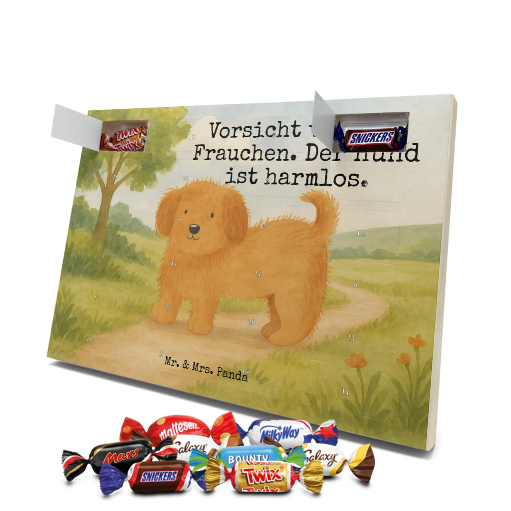  pies puszysty Design Pies, rasa psa, właściciel psa, miłośnik zwierząt, motyw psa, zwierzę domowe, powiedzenia