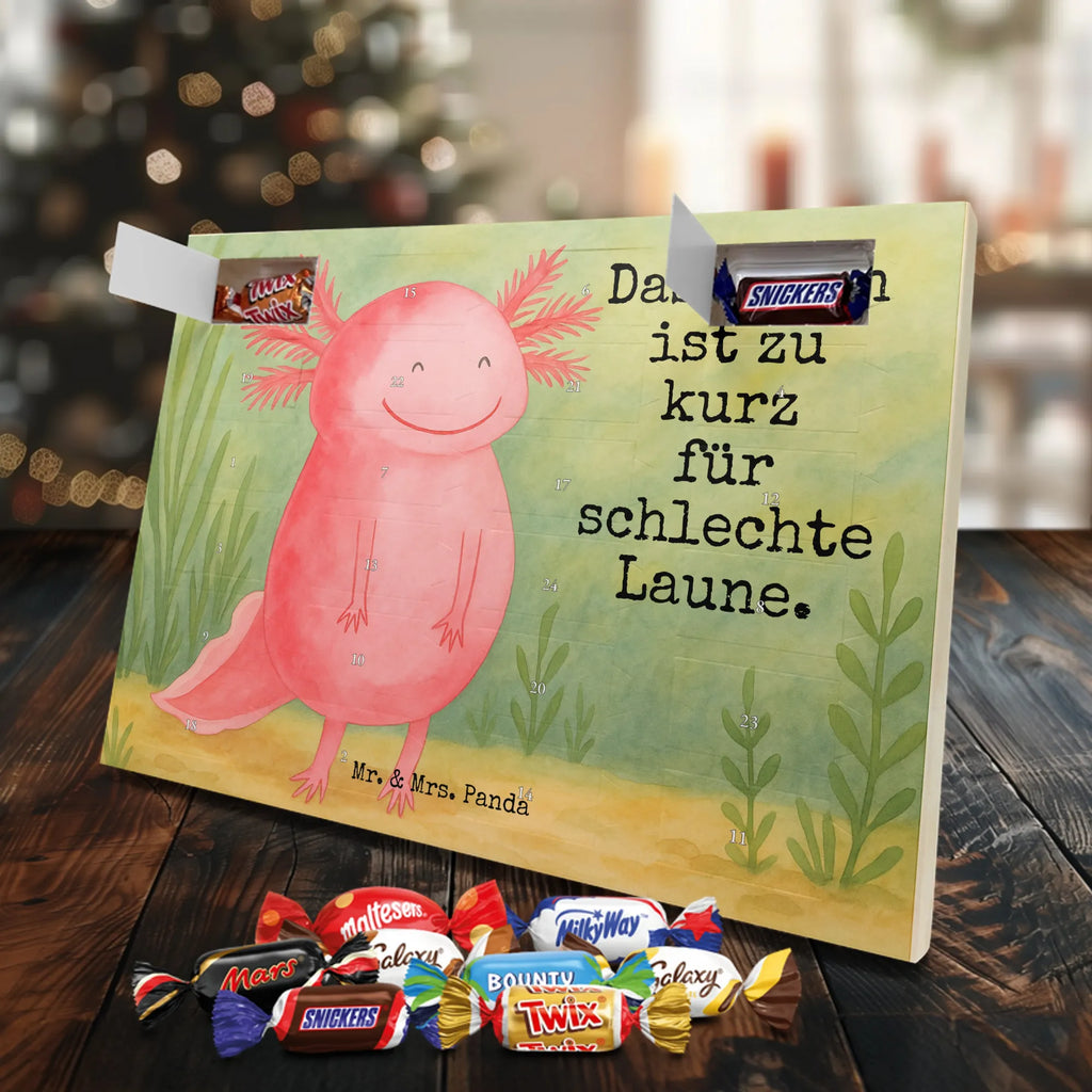 Chocolate advent calendar axolotl Happy Design Axelotl, marine animals, Mexican walking fish, salamander, good mood, tail, amphibian