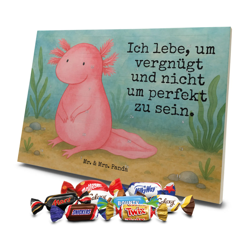 Chocolate advent calendar axolotl zero Design Axelotl, marine animals, Mexican walking fish, salamander, wisdom, worldly wisdom, contented, cheerful, lifestyle, girlfriend