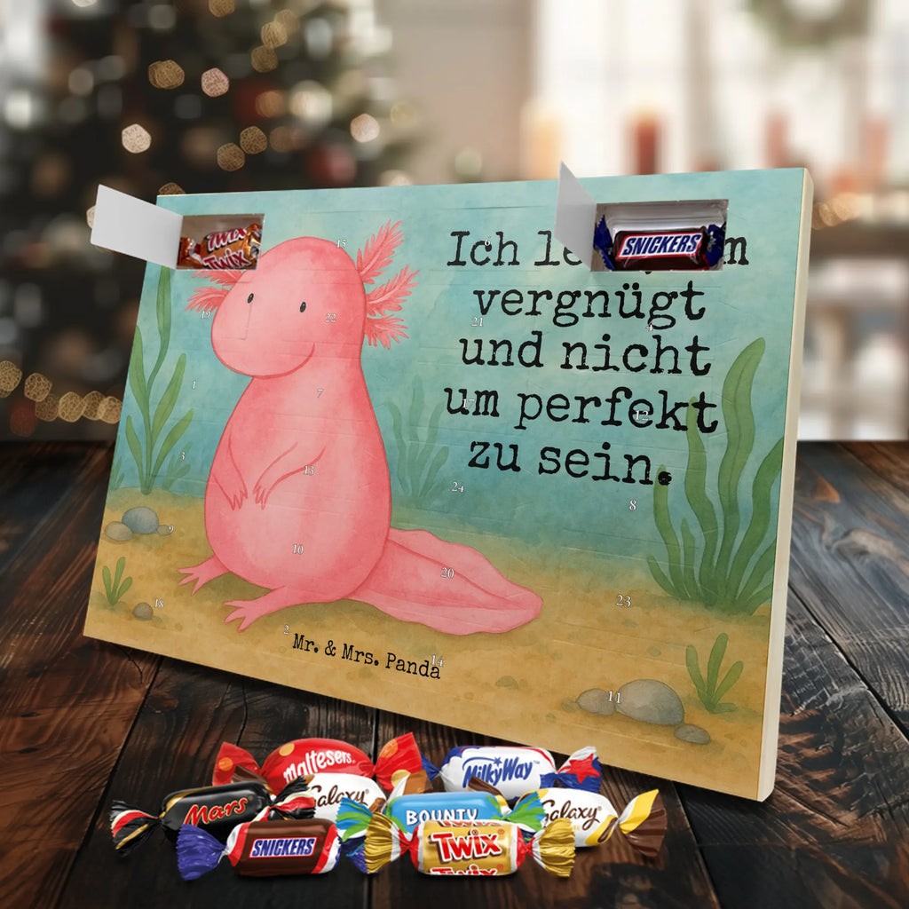 Chocolate advent calendar axolotl zero Design Axelotl, marine animals, Mexican walking fish, salamander, wisdom, worldly wisdom, contented, cheerful, lifestyle, girlfriend