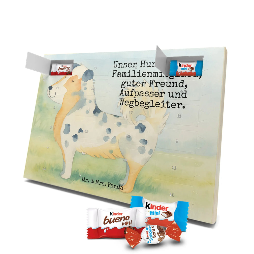 Chocolate advent calendar Dog Australia Shepherd Design hound, dog sayings, gifts for dogs, Christmas gifts for dogs, what do you give a dog lover, funny gifts for dog owners, bag with dog print, dog decorative items, love for dogs, dog breed, love dogs, dog mama, mutt, woof, Family dog, Saying, Sayings, Australia Shepherd, Dog love