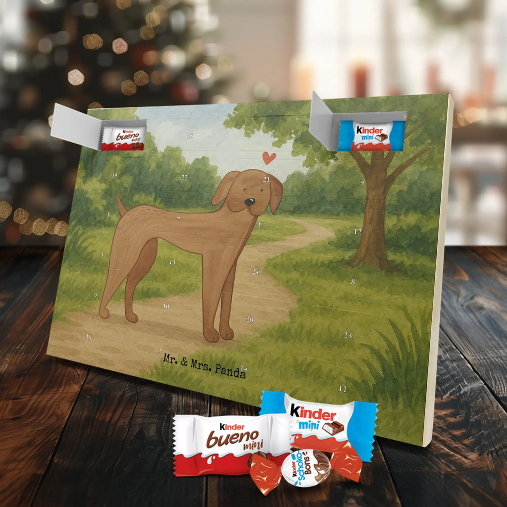 Chocolate advent calendar Dog mastiff Design dog breed, mutt, hound, woof, dog mama, love dogs, love for dogs, dog decorative items, bag with dog print, funny gifts for dog owners, what do you give a dog lover, Christmas gifts for dogs, gifts for dogs, dog sayings, Dogs