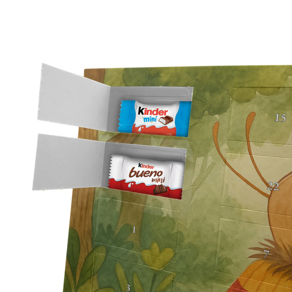 Chocolate advent calendar Moth flag Design card, gift ideas, gifts, small animals, cute, cute animal motives, hand drawn, funny sayings, good mood, special gifts, animal lover, Kitchen decoration, How much does the world cost, Moth, Beetle, Saying funny