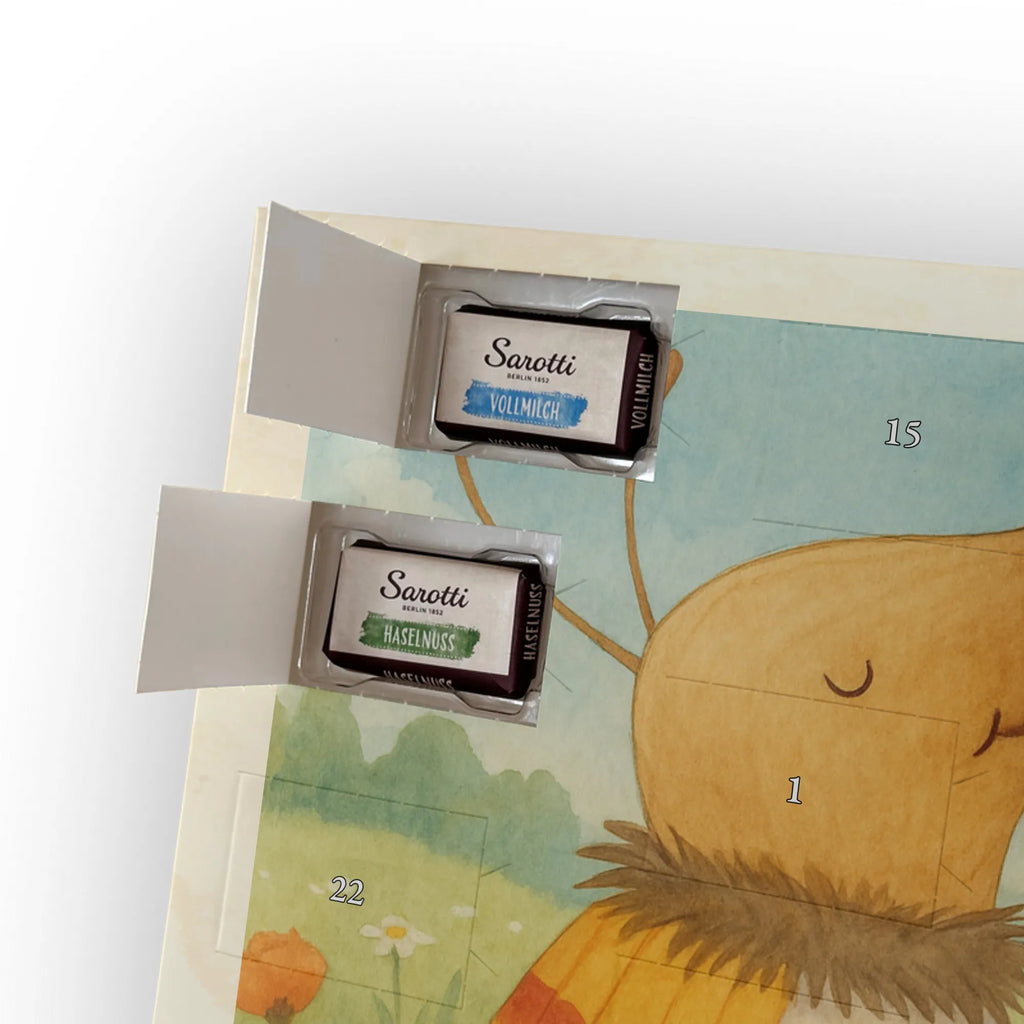 Chocolate advent calendar Moth flag Design card, gift ideas, gifts, small animals, cute, cute animal motives, hand drawn, funny sayings, good mood, special gifts, animal lover, Kitchen decoration, How much does the world cost, Moth, Beetle, Saying funny