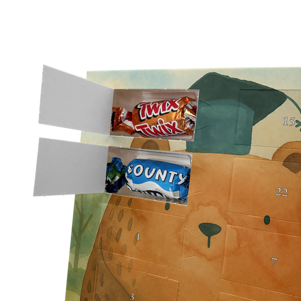 Chocolate advent calendar bear Test Design teddy bear, cuddly toy, diploma, degree, certificate, examinations, examination passed