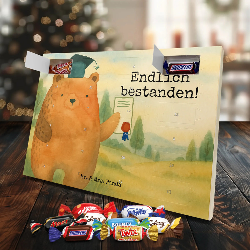Chocolate advent calendar bear Test Design teddy bear, cuddly toy, diploma, degree, certificate, examinations, examination passed