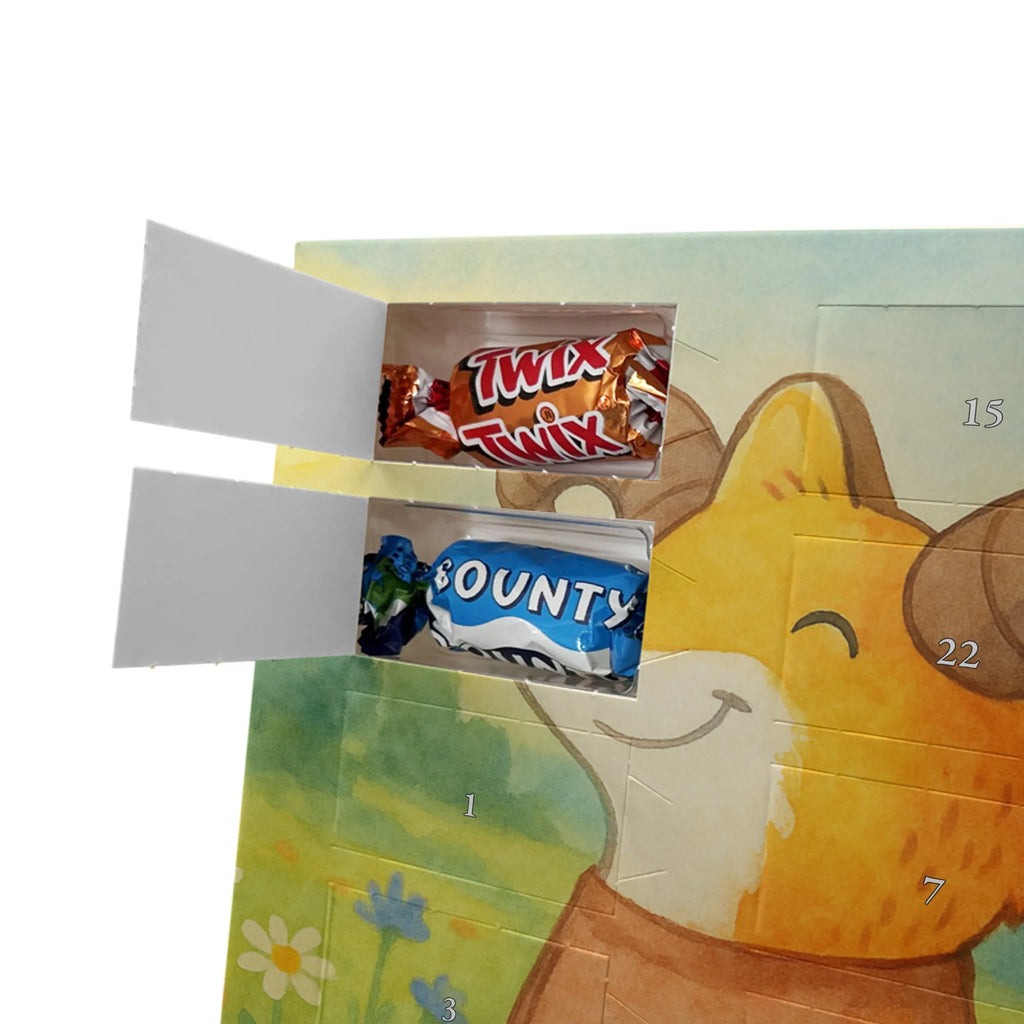 Chocolate advent calendar Aries Astrology Design constellations, birthdays, astrology, date of birth, month of birth