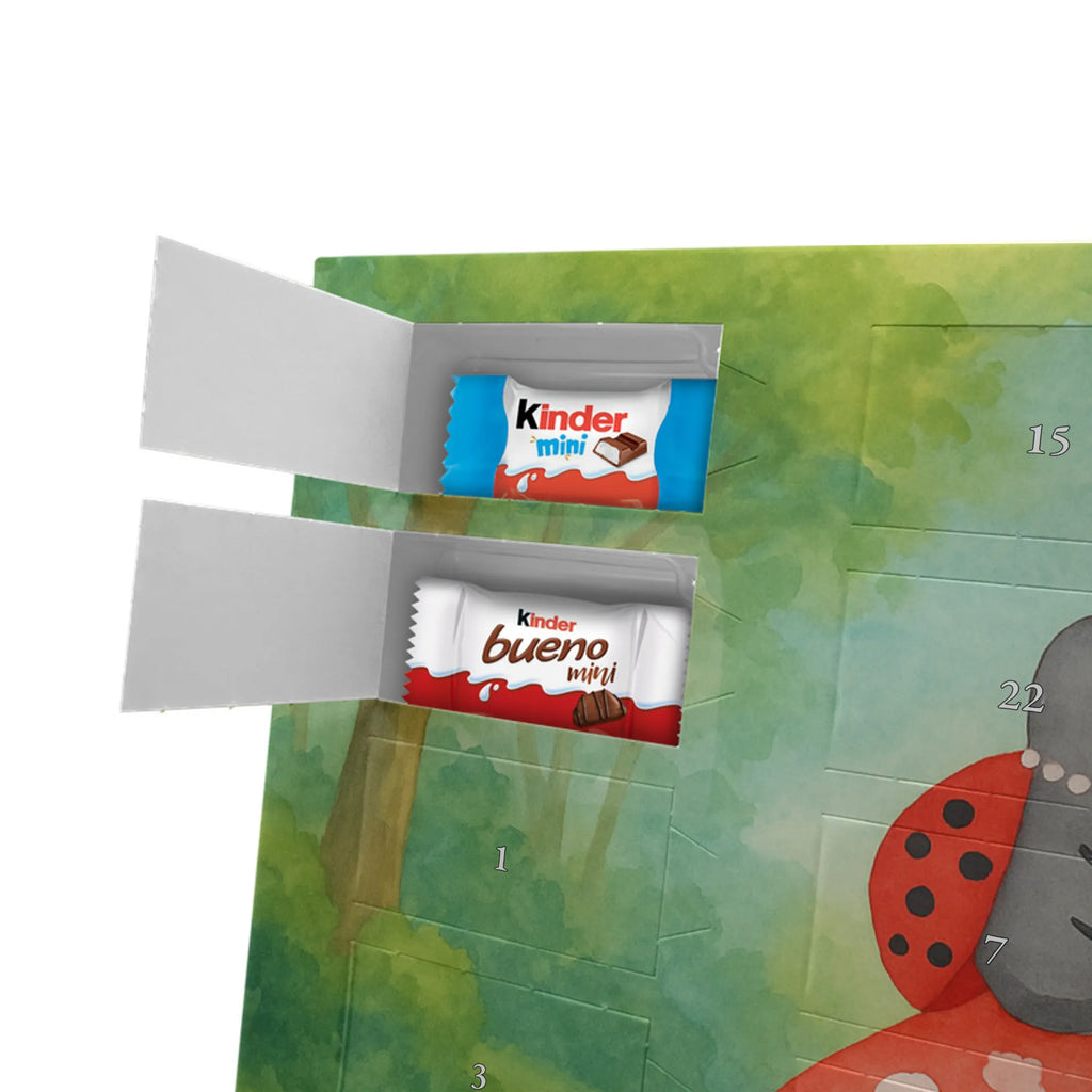 Chocolate advent calendar ladybug toadstool Design card, gift ideas, gifts, small animals, cute, cute animal motives, hand drawn, funny sayings, good mood, special gifts, animal lover, house of fleshy fungi, flat, toadstool, ladybird, at home