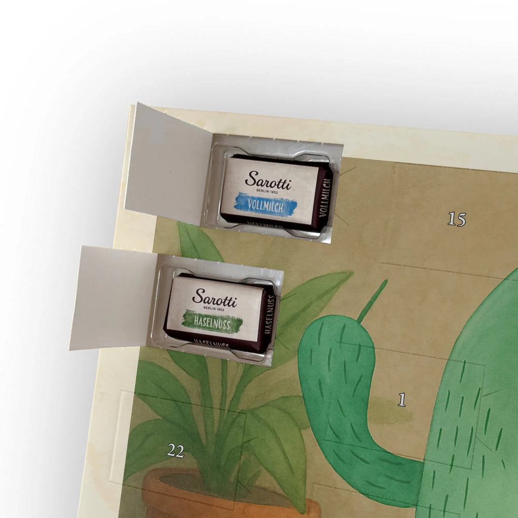  Kaktus gniew Design Kaktusy