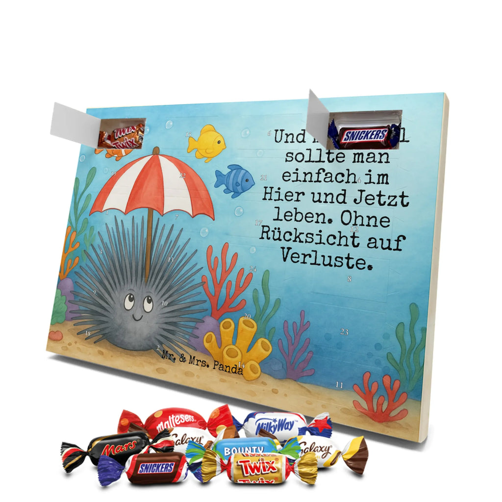 Chocolate advent calendar Sea urchins Design gift ideas, vacation, Seafood, aquatic animals, ocean, shells, corals, reef, whale, narwhal, sea urchin, lobster, platypus, manatee, crocodile, shrimp, gifts for seafood lovers, water world, underwater animals, underwater world, deep sea, seafood fans, seafood decoration, seafood posters, living, self-acceptance, mindfulness, self-love, here and now, sea urchins