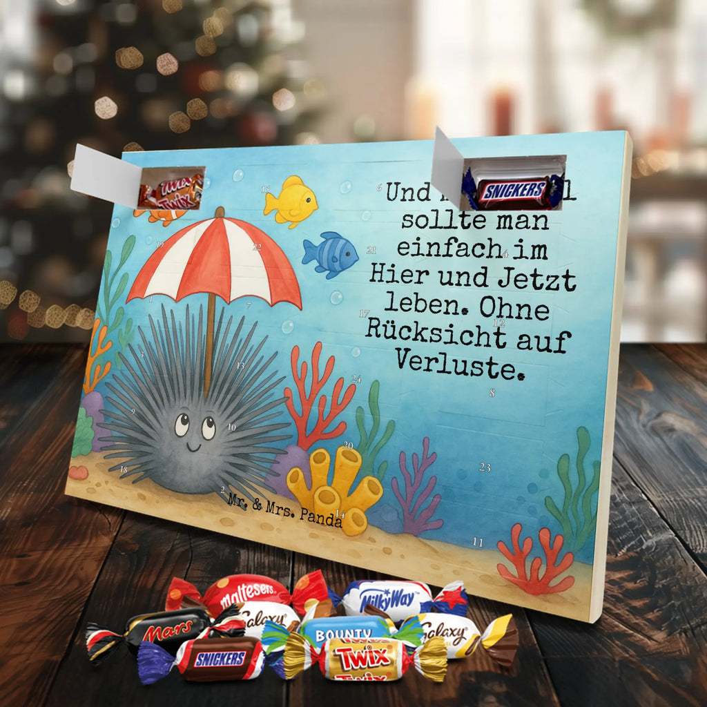 Chocolate advent calendar Sea urchins Design gift ideas, vacation, Seafood, aquatic animals, ocean, shells, corals, reef, whale, narwhal, sea urchin, lobster, platypus, manatee, crocodile, shrimp, gifts for seafood lovers, water world, underwater animals, underwater world, deep sea, seafood fans, seafood decoration, seafood posters, living, self-acceptance, mindfulness, self-love, here and now, sea urchins