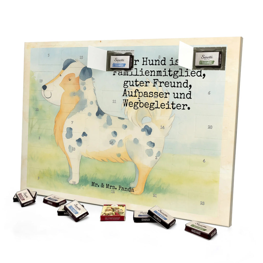 Chocolate advent calendar Dog Australia Shepherd Design hound, dog sayings, gifts for dogs, Christmas gifts for dogs, what do you give a dog lover, funny gifts for dog owners, bag with dog print, dog decorative items, love for dogs, dog breed, love dogs, dog mama, mutt, woof, Family dog, Saying, Sayings, Australia Shepherd, Dog love