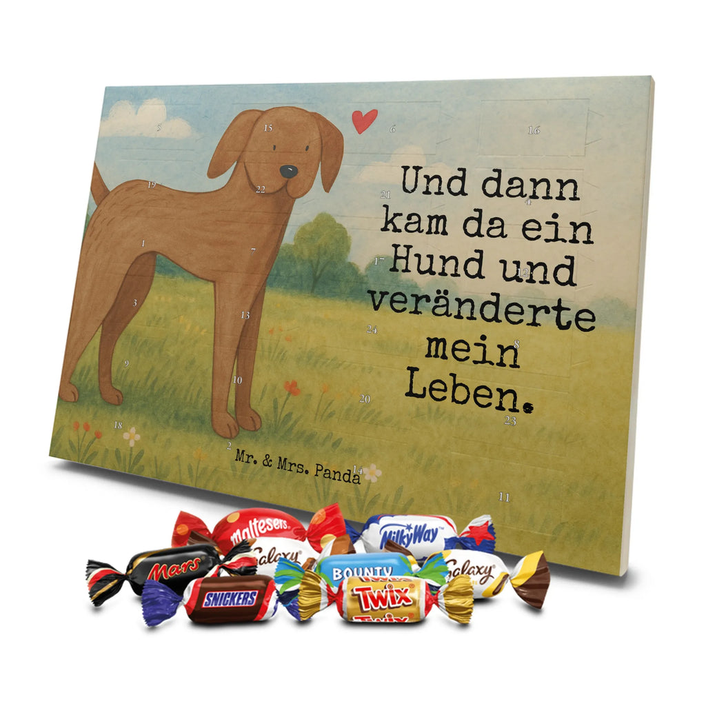 Chocolate advent calendar Dog mastiff Design dog breed, mutt, hound, woof, dog mama, love dogs, love for dogs, dog decorative items, bag with dog print, funny gifts for dog owners, what do you give a dog lover, Christmas gifts for dogs, gifts for dogs, dog sayings, Dogs