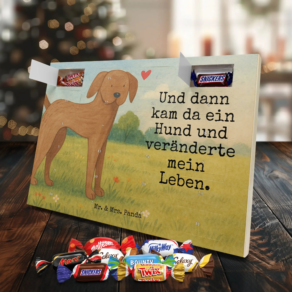 Chocolate advent calendar Dog mastiff Design dog breed, mutt, hound, woof, dog mama, love dogs, love for dogs, dog decorative items, bag with dog print, funny gifts for dog owners, what do you give a dog lover, Christmas gifts for dogs, gifts for dogs, dog sayings, Dogs