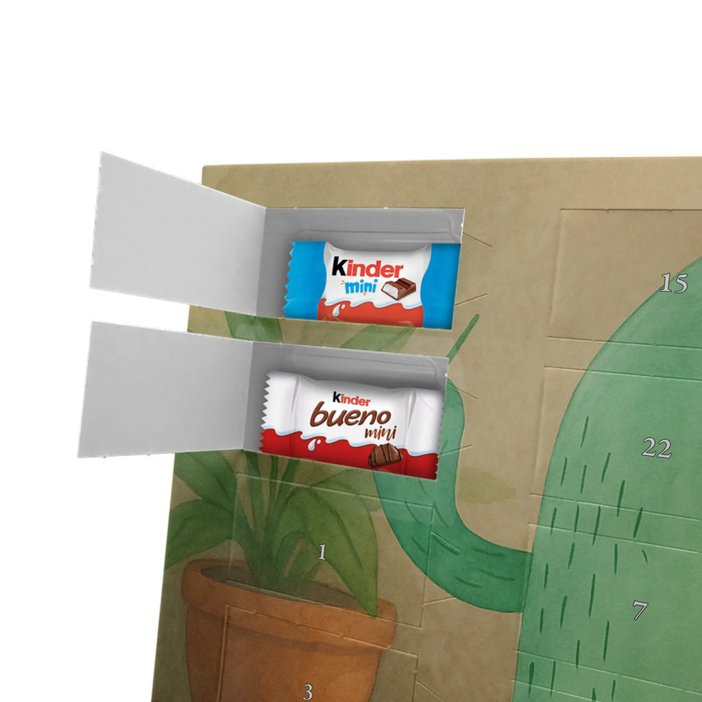  Kaktus gniew Design Kaktusy