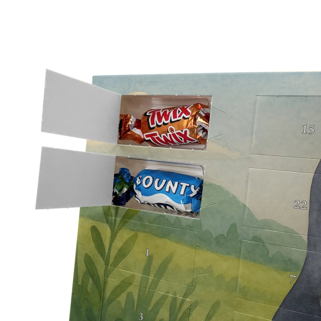 Chocolate advent calendar Penguin lollipop Design North Pole, Penguins, crook, candy, bullshit, hoodlum, lollipop, penguins, rebel