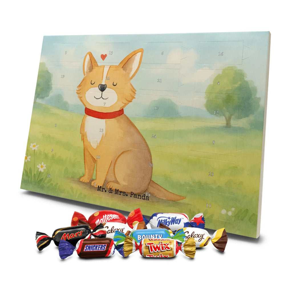 Chocolate advent calendar Dog Luck Design hound, dog sayings, gifts for dogs, Christmas gifts for dogs, what do you give a dog lover, funny gifts for dog owners, bag with dog print, dog decorative items, love for dogs, dog breed, love dogs, dog mama, mutt, woof, dog owner, dog mom, dog love