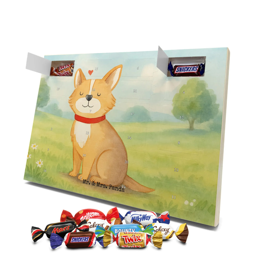 Chocolate advent calendar Dog Luck Design hound, dog sayings, gifts for dogs, Christmas gifts for dogs, what do you give a dog lover, funny gifts for dog owners, bag with dog print, dog decorative items, love for dogs, dog breed, love dogs, dog mama, mutt, woof, dog owner, dog mom, dog love