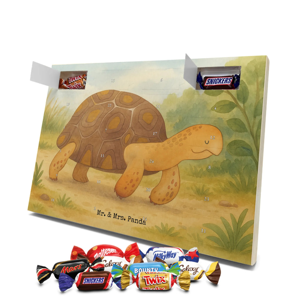Adventskalender Schildkröte Marschieren Design adventskalender süßigkeiten, süßigkeiten kalender, schokolade adventskalender, kalender schokolade, Schoko Adventskalender, weihnachtskalender schoko, Weihnachtskalender, Schoko-Adventskalender, adventskalender schoko, Weihnachtskalender Schokolade, schokokalender, Schokoladen-Adventskalender, Schokoladen Adventskalender, schoko kalender, Schokoladen-Weihnachtskalender, kalender weihnachten, schokoladenkalender, Adventskalender, süßigkeiten adventskalender, Adventskalender Schokolade, Weihnachten Adventskalender, Weihnachts Kalender, pralinen adventskalender, schoko weihnachtskalender, adventskalender pralinen, schokoladen kalender, Meer, Urlaub, Meerestiere, Reiselust, Abenteuer, Neustart, Schildkröte, Schildkröten, Lieblingsmensch, Inspiration, Motivation, Get Lost