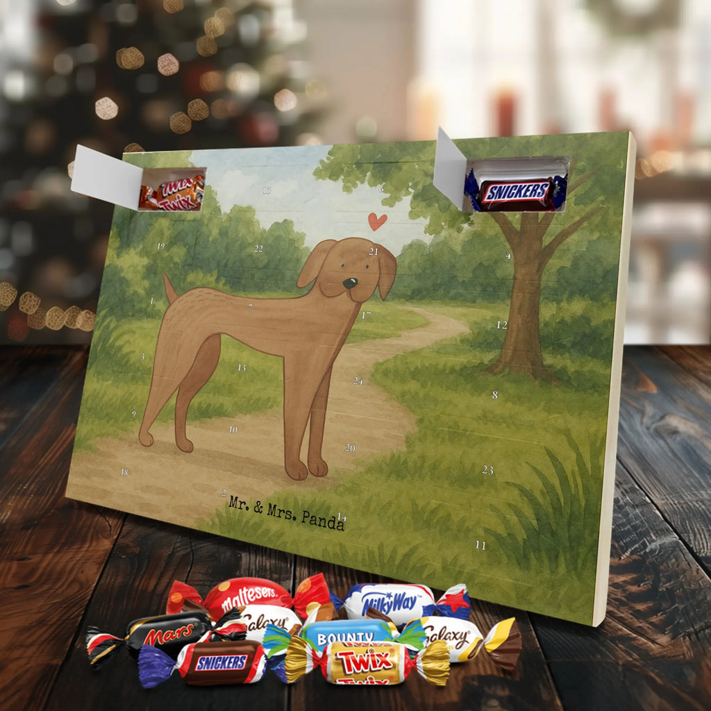 Chocolate advent calendar Dog mastiff Design dog breed, mutt, hound, woof, dog mama, love dogs, love for dogs, dog decorative items, bag with dog print, funny gifts for dog owners, what do you give a dog lover, Christmas gifts for dogs, gifts for dogs, dog sayings, Dogs