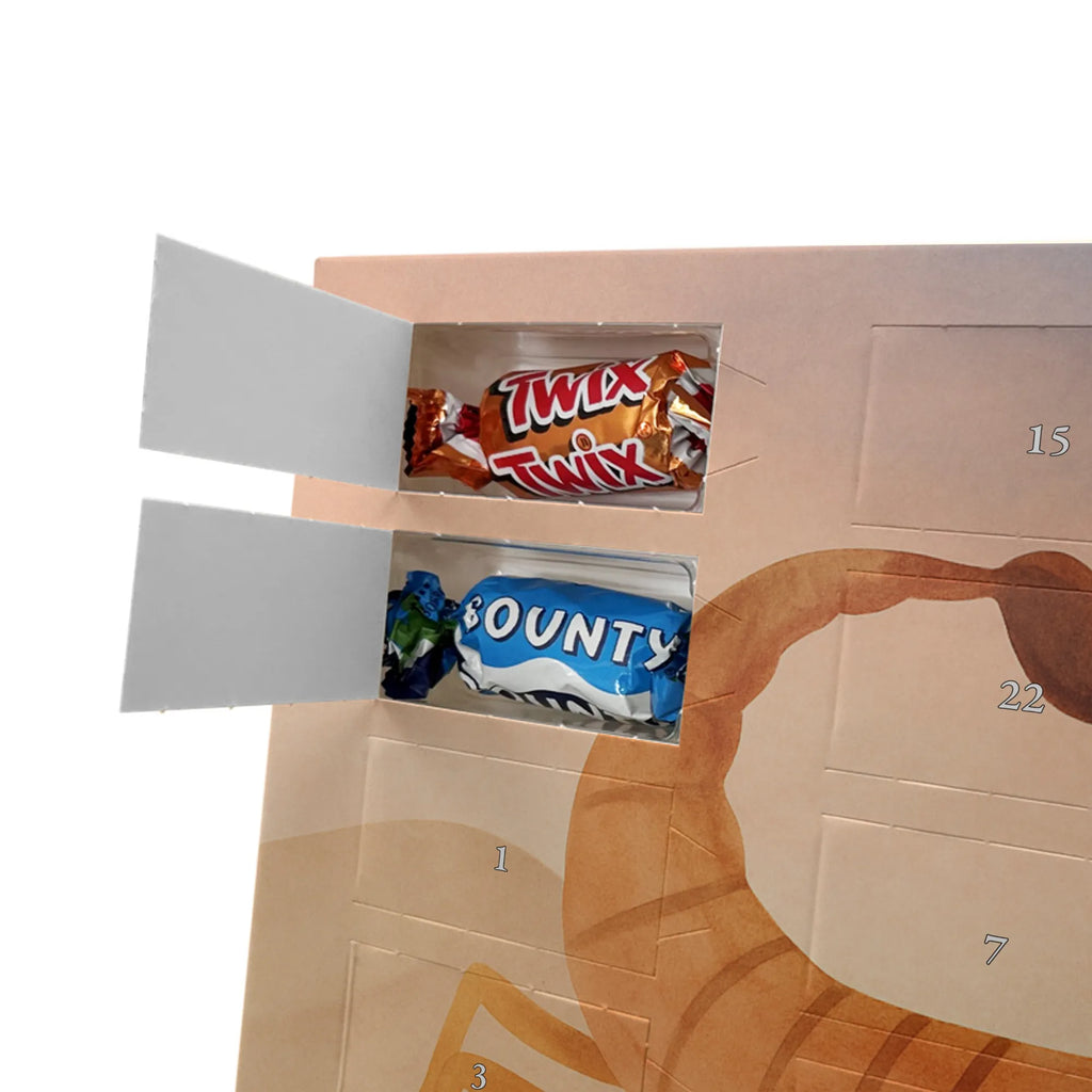 Chocolate advent calendar Star sign Scorpio Design constellations, birthdays, astrology, date of birth, month of birth, scorpions, birthday october, gift november, gift october, scorpion gift, scorpion star sign, birthday november