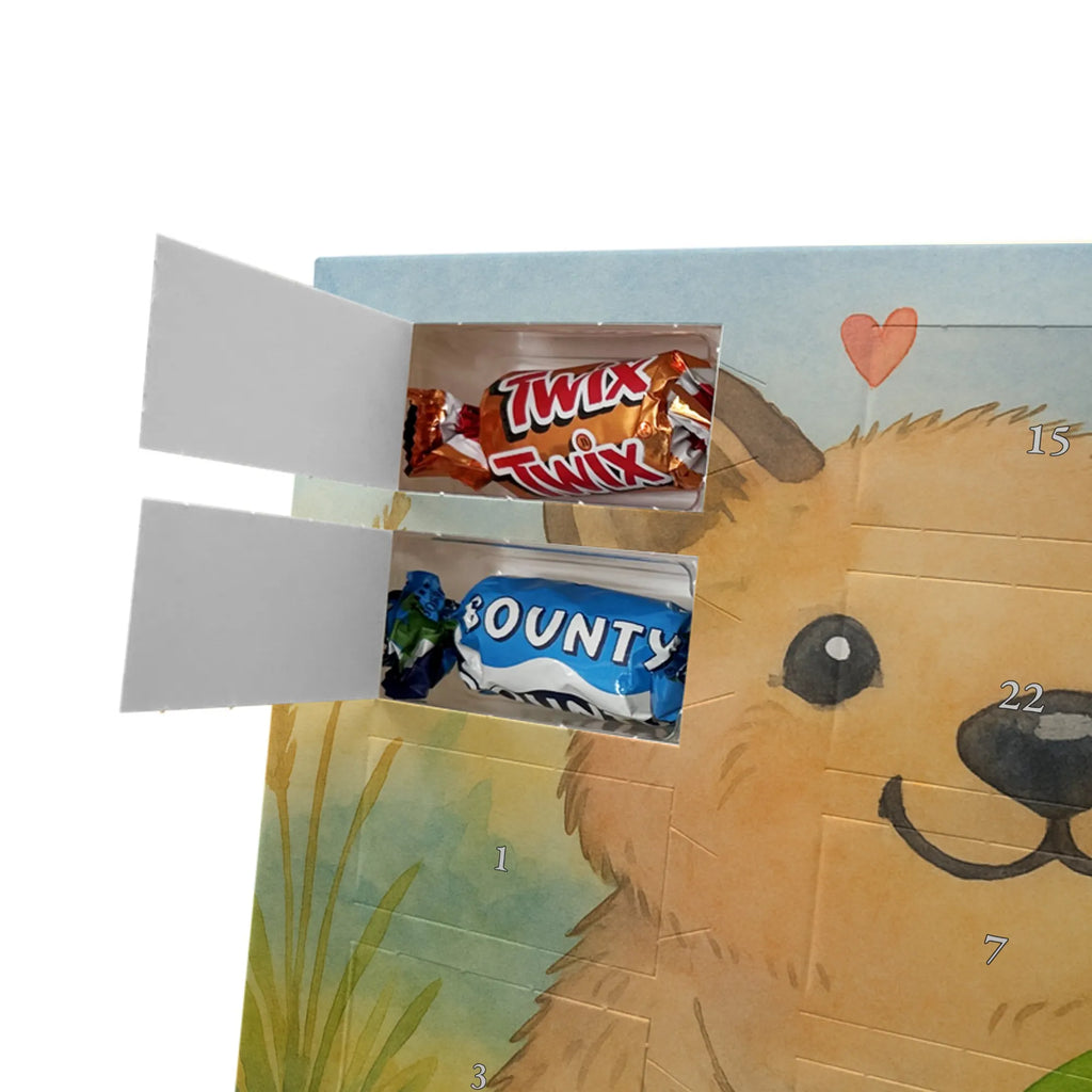 Chocolate advent calendar Quokka Happy Design card, gift ideas, gifts, small animals, cute, cute animal motives, hand drawn, funny sayings, good mood, special gifts, animal lover