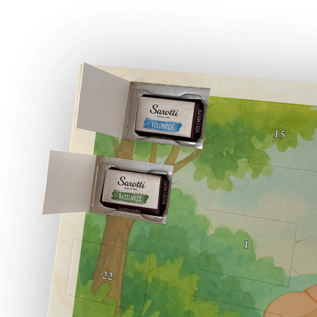 Chocolate advent calendar tortoise walker Design gift, gift ideas, cute, illustrated, tortoise, reptile, ancient creature, sweet, birthday gift, turtle gift items, funny turtle gifts, pet turtles, best friend, sister or daughter, turtle lover, turtles, new beginning, motivational slogan