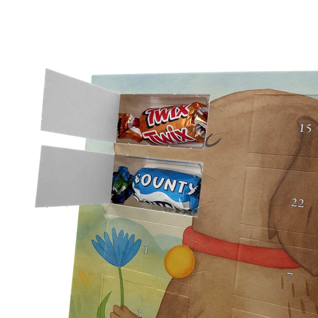 Chocolate advent calendar Dog flower Design dog breed, mutt, hound, woof, dog mama, love dogs, love for dogs, dog decorative items, bag with dog print, funny gifts for dog owners, what do you give a dog lover, Christmas gifts for dogs, gifts for dogs, dog sayings, dog lover, dogs, mistress, dog owners