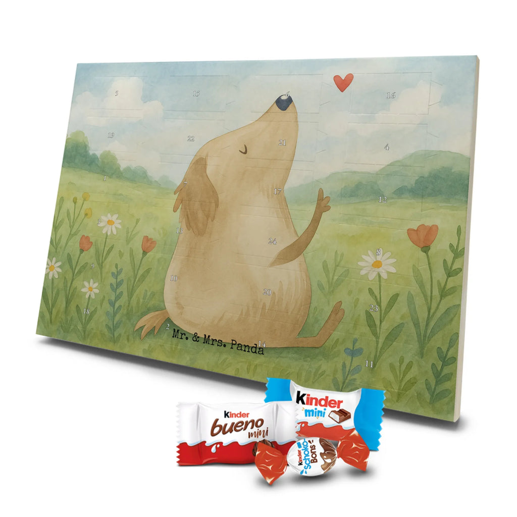 Adventskalender Hund Liebe Design Schoko Adventskalender, Weihnachtskalender, advent kalender, Adventskalender Schokolade, Adventskalender, süßigkeiten adventskalender, Weihnachtskalender Schokolade, schokoladenkalender, schoko kalender, Schokoladen Adventskalender, adventskalender pralinen, schokolade adventskalender, süßigkeiten kalender, schokoladen kalender, schokokalender, schoko weihnachtskalender, adventskalender süßigkeiten, kalender schokolade, weihnachtskalender schoko, adventskalender mit schokolade, adventskalender mit süßigkeiten, pralinen adventskalender, adventskalender mit pralinen, Hund, Sprüche, Hunderasse, Tierliebhaber, Hundebesitzer, Haustier, Hundemotiv, Hunde, Hundeglück, Liebe, Hundeliebe, Frauchen