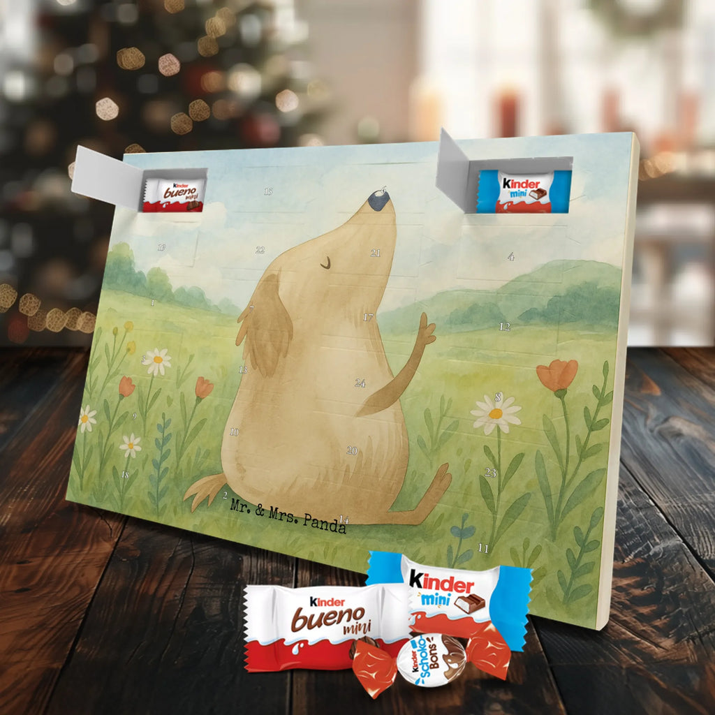Adventskalender Hund Liebe Design Schoko Adventskalender, Weihnachtskalender, advent kalender, Adventskalender Schokolade, Adventskalender, süßigkeiten adventskalender, Weihnachtskalender Schokolade, schokoladenkalender, schoko kalender, Schokoladen Adventskalender, adventskalender pralinen, schokolade adventskalender, süßigkeiten kalender, schokoladen kalender, schokokalender, schoko weihnachtskalender, adventskalender süßigkeiten, kalender schokolade, weihnachtskalender schoko, adventskalender mit schokolade, adventskalender mit süßigkeiten, pralinen adventskalender, adventskalender mit pralinen, Hund, Sprüche, Hunderasse, Tierliebhaber, Hundebesitzer, Haustier, Hundemotiv, Hunde, Hundeglück, Liebe, Hundeliebe, Frauchen